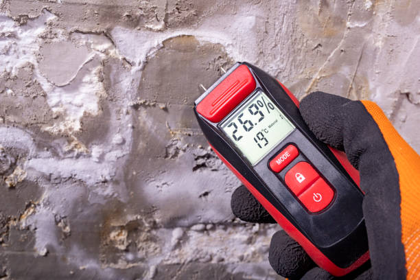 Best Residential Mold Removal  in Hurlock, MD