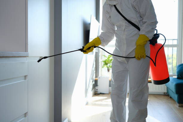 Mold Removal and Inspection in Hurlock, MD