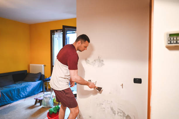 Best Residential Mold Removal  in Hurlock, MD